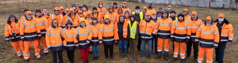 RO_MK_POR_Plantare_Pomi