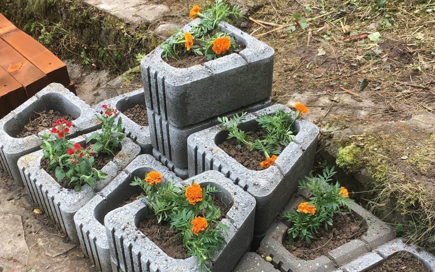 RO_PHO_SEM_Talkfest-05