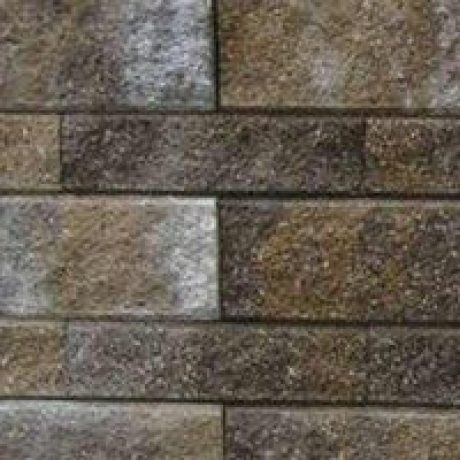 RO_PHO_SEM_eflorescenta_02