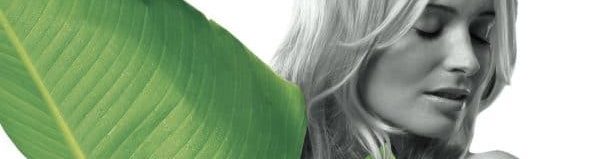 Semmelrock zaštita površine