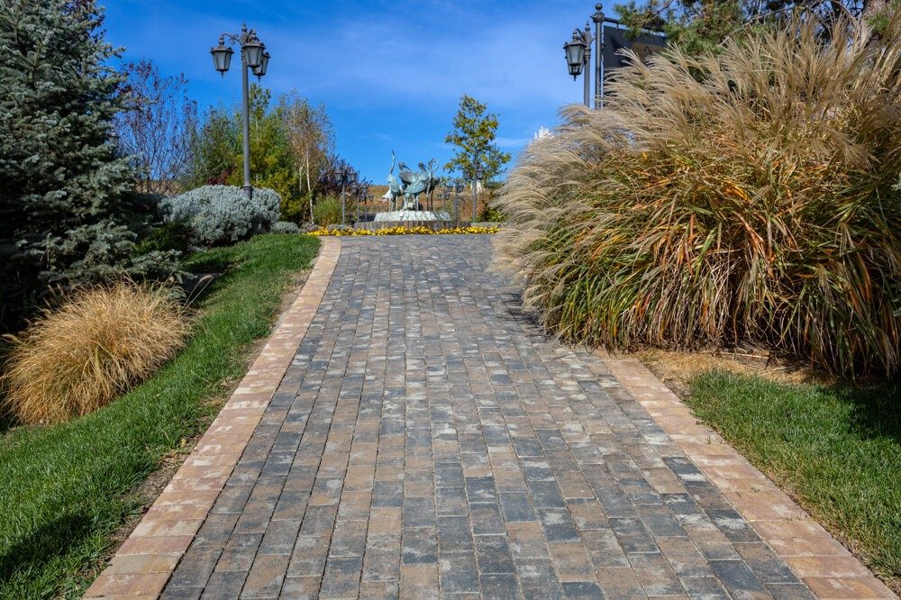 RO_MKT_SEM_REF_Casa Timis imagine 5