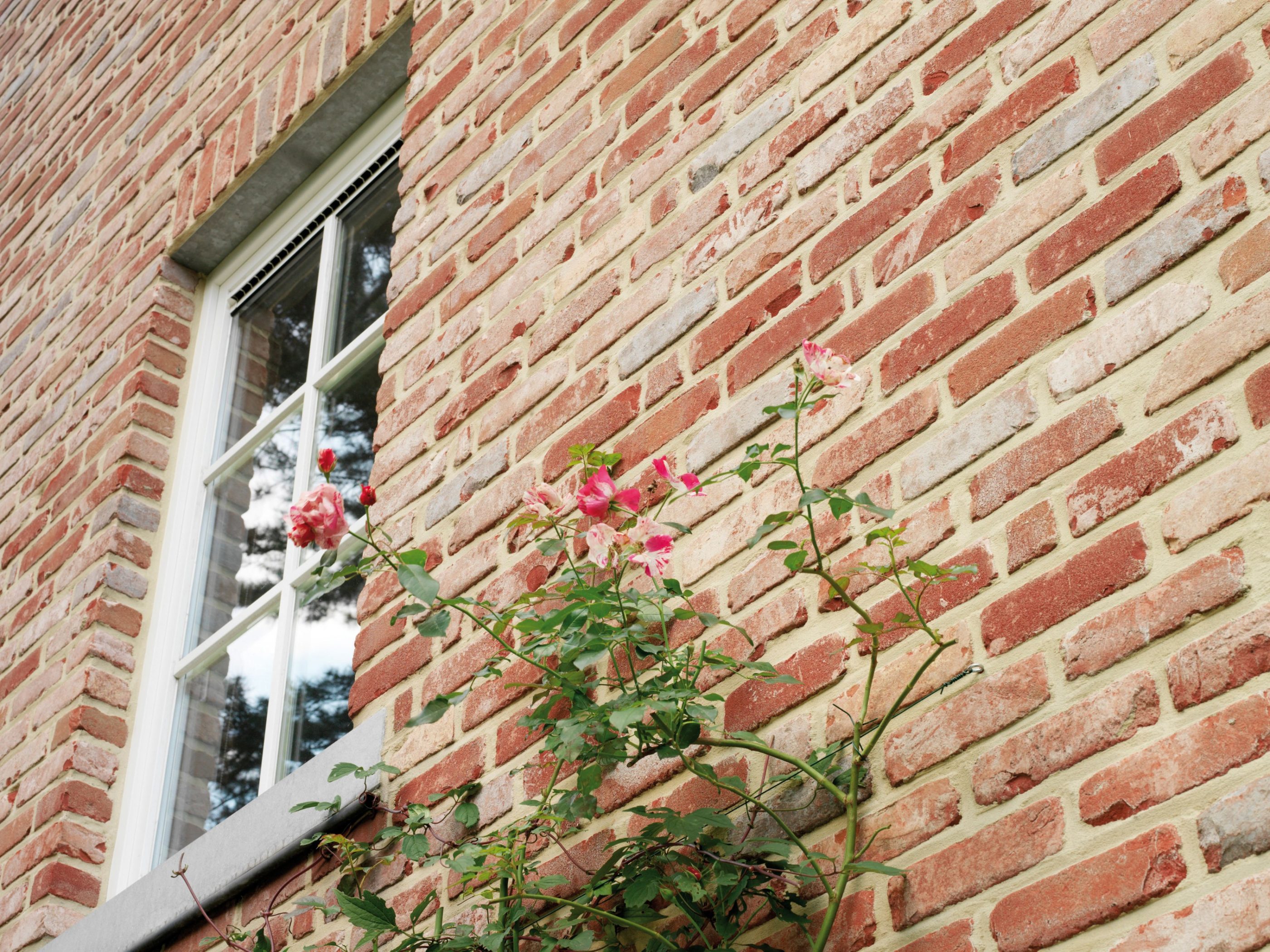 Reference photo new construction single family in Ghlain