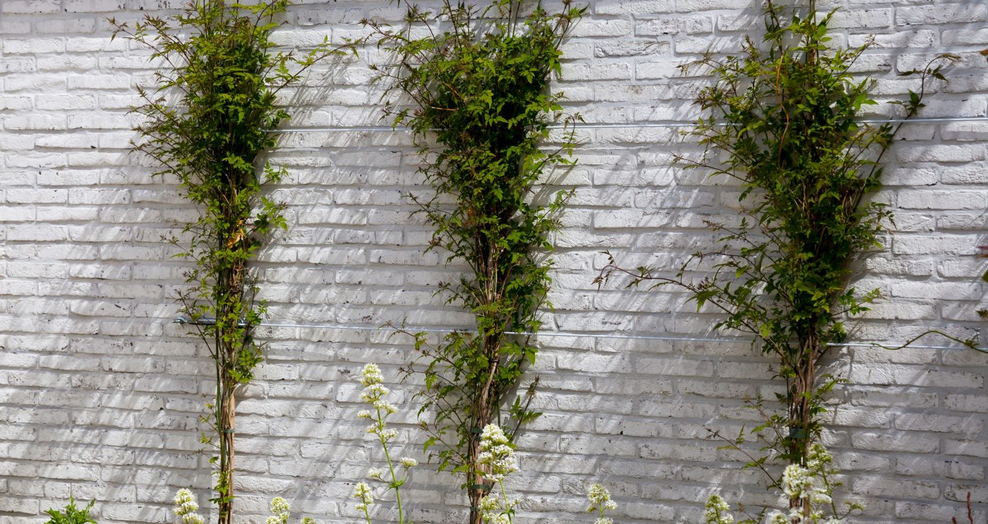 Villa with two levels. Art & Lou. 148 rue de Londres 62 520 Le Touquet-Paris Plage. Bricks Terca Imperium Albius white