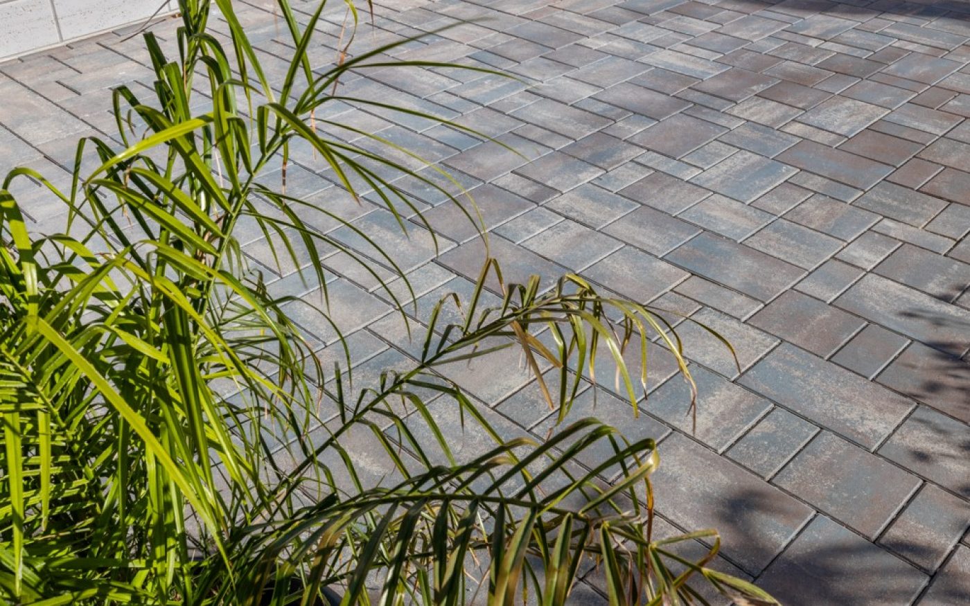 RO_MKT_SEM_Rettino slideshow 3