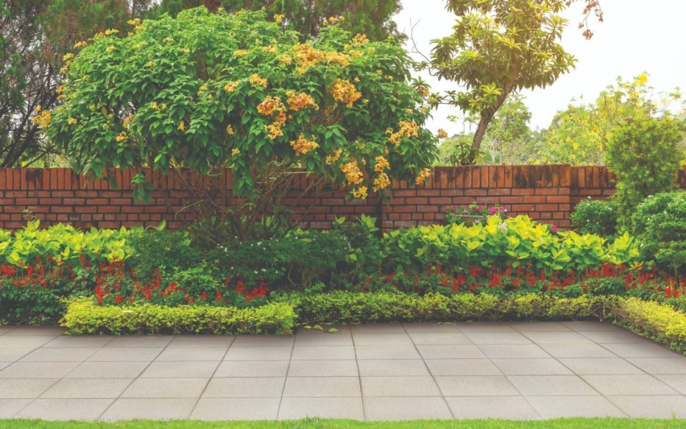 RO_MKT_SEM_Dale Rettino alb crem referinta