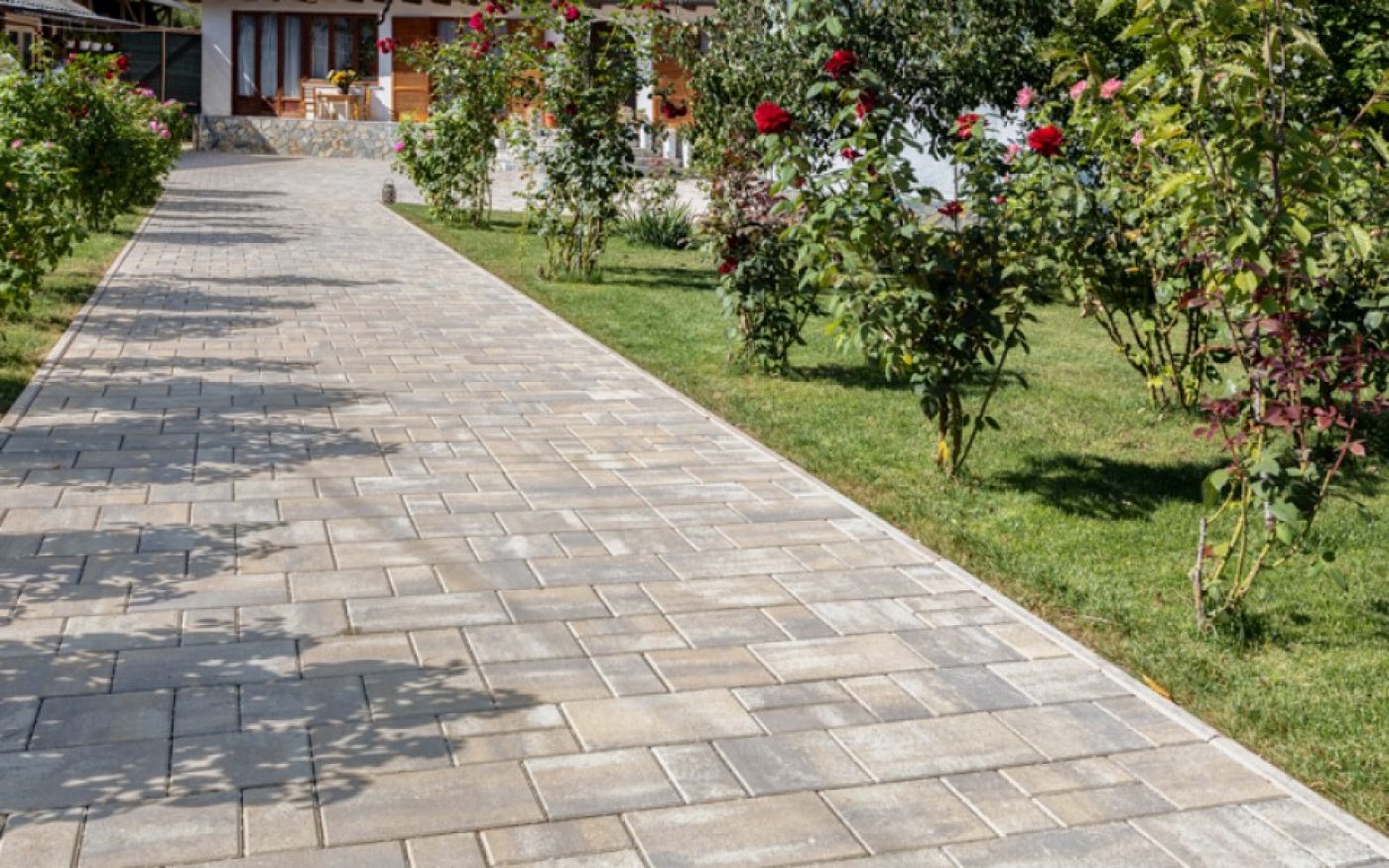 RO_MKT_SEM_Pavaj Rettino bej cenusiu referinta