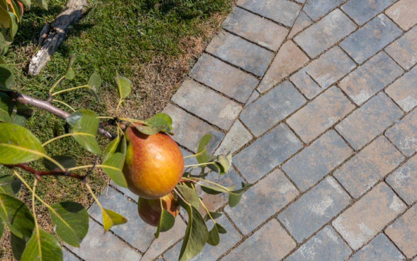 RO_MKT_SEM_Pavaj Appia Antica gri vulcanic referinta 1