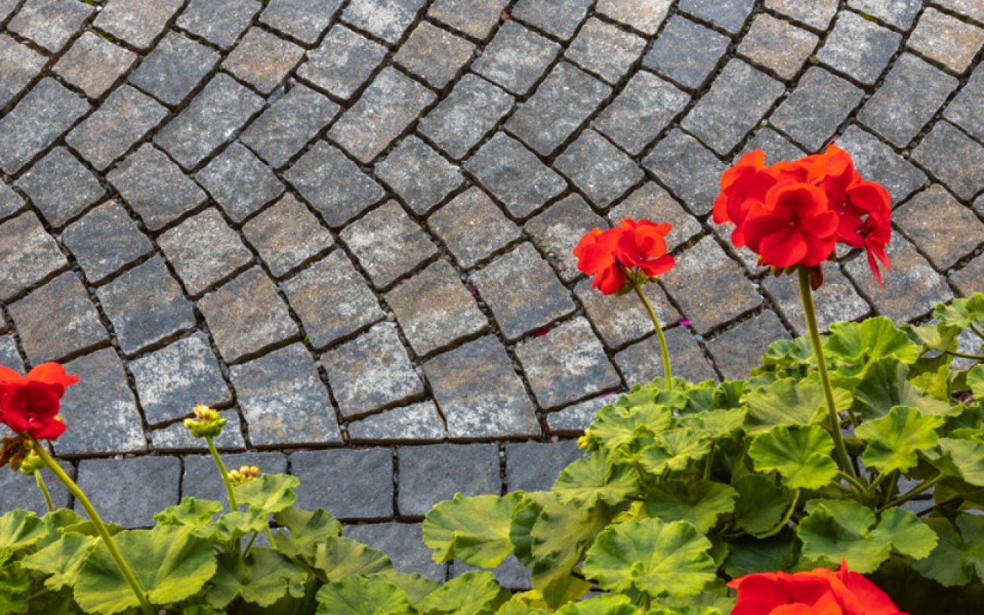 RO_MKT_SEM_Pavaj Arte Arc de Cerc referinta 3