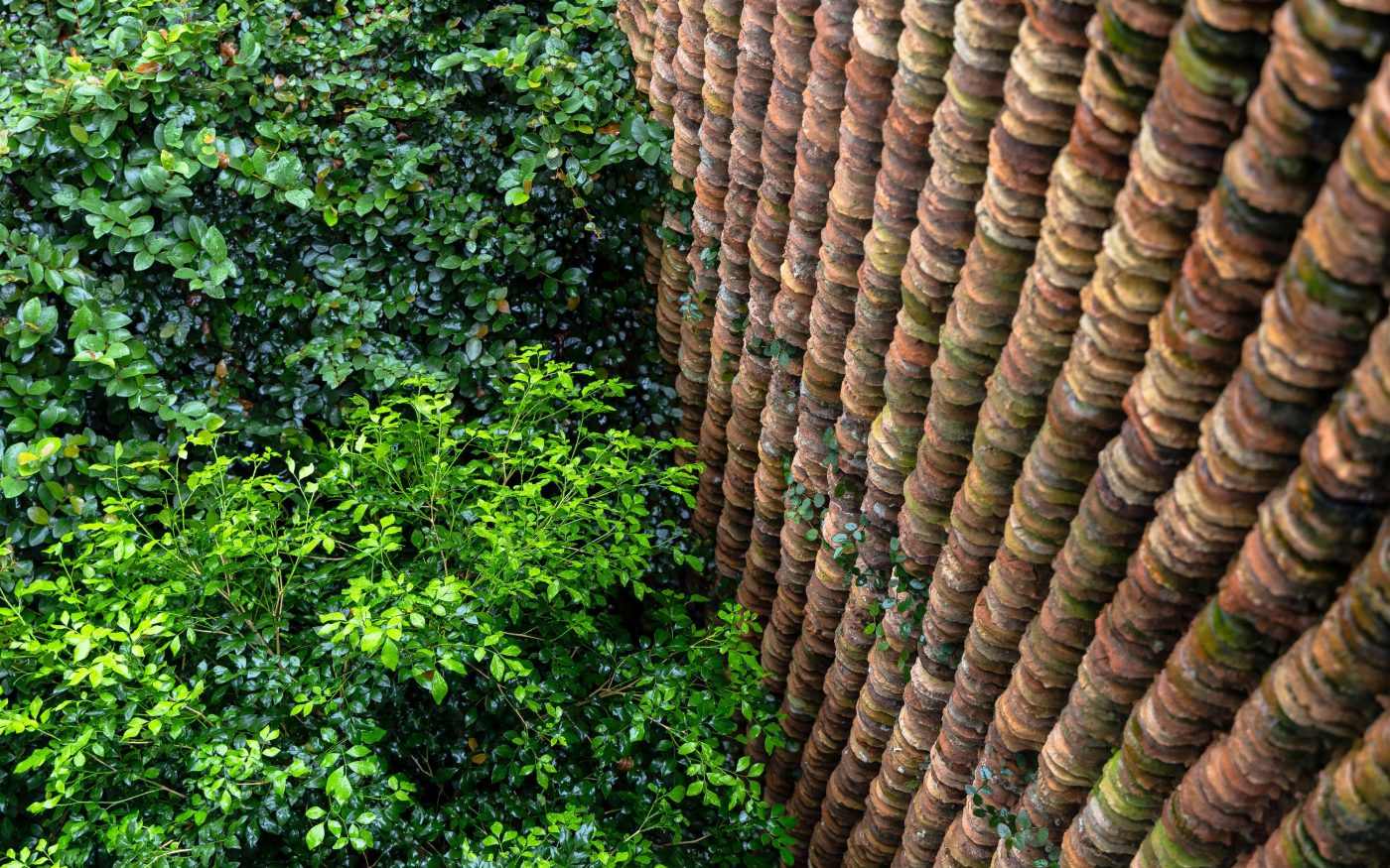 Brick Award 26 Đạo Mẫu Museum and Temple - ARB Architects