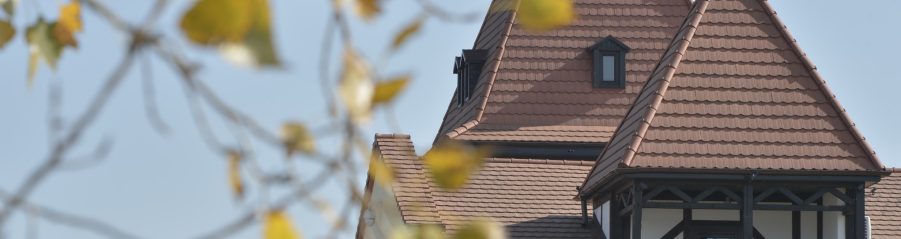 Hotel in Timisoara, aspect de castel / Castle like hotel in Timisoara 