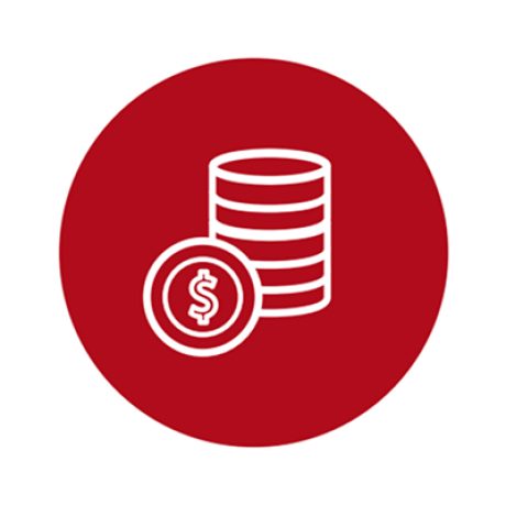 Icon Economisire garantată