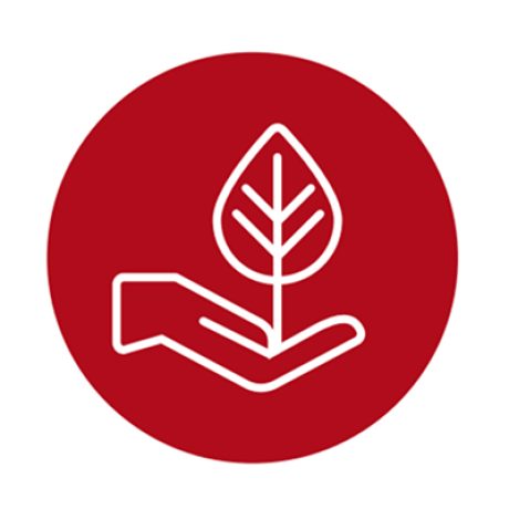 Icon Un climat sănătos la interior