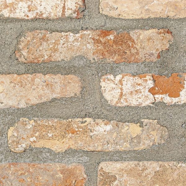 RO_MKT_SM_Occitan Dogi 2 Swatch