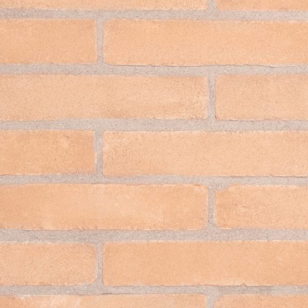 RO_MKT_SM_Vivo Rosato Swatch