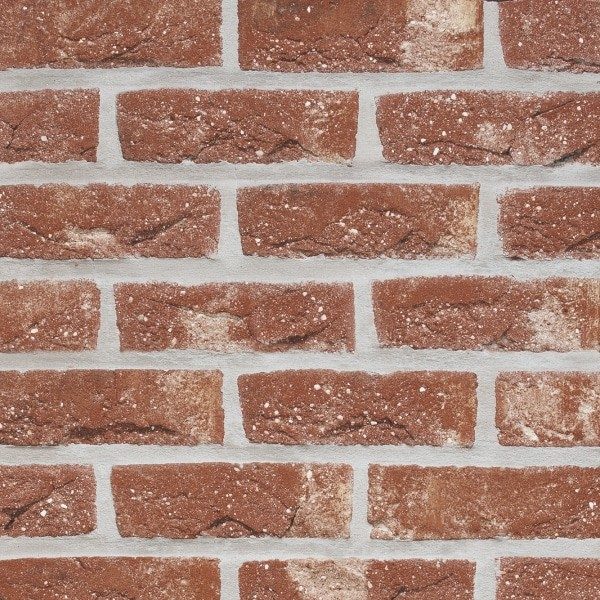 RO_MKT_TER Patrimonia Neo Romanesque Swatch