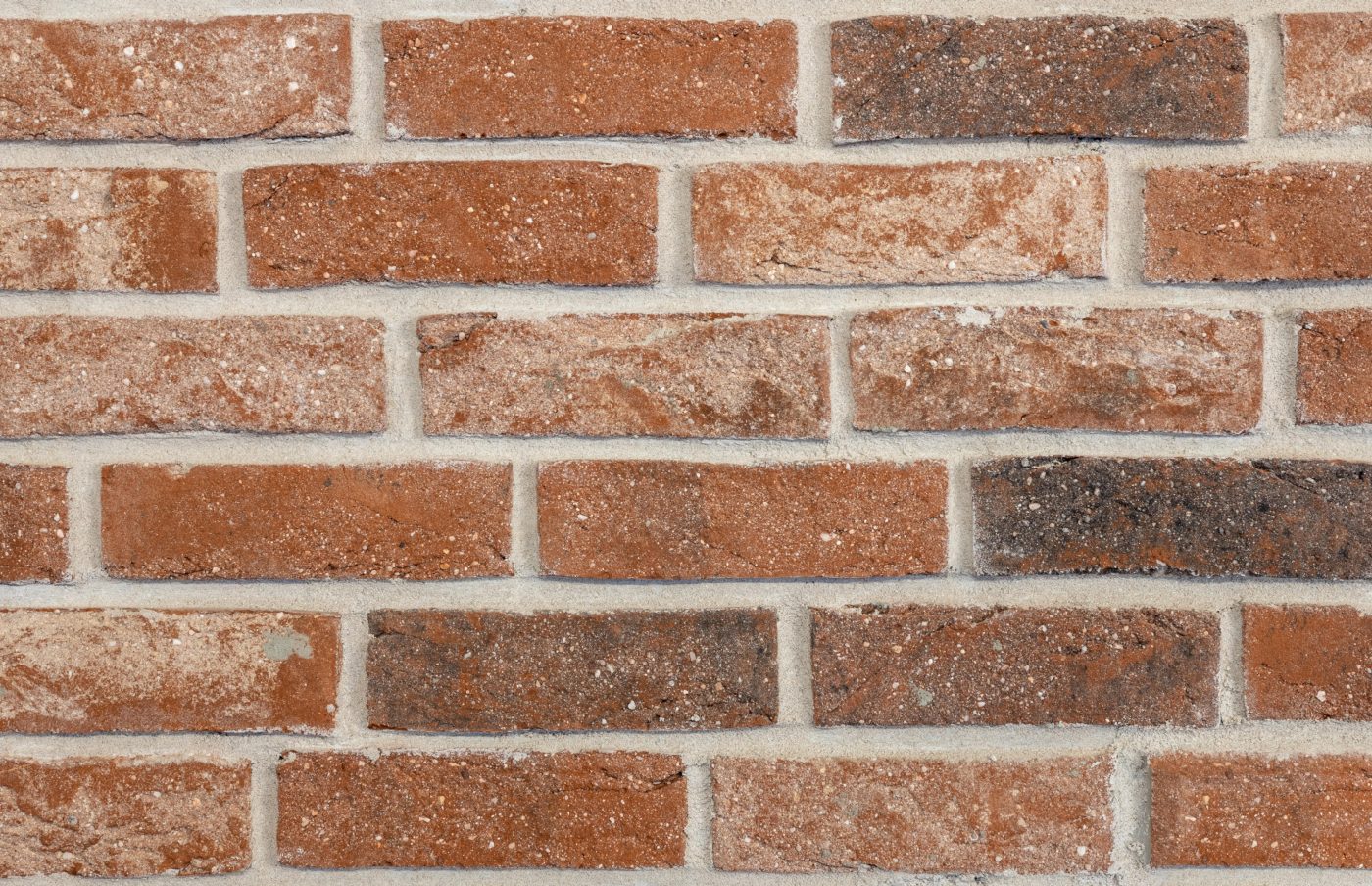 RO_MKT_TER_REF_Terasa deschisa Mosnita Noua imagine 4