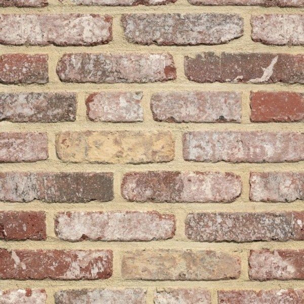RO_MKT_TER Retro Pastorie Swatch