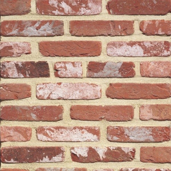 RO_MKT_TER Rustica Old Kempisch Swatch