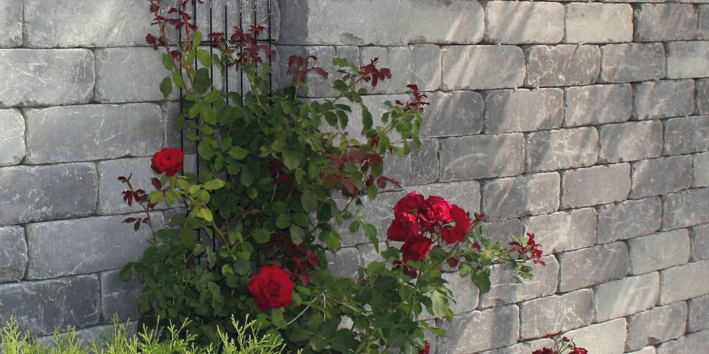 RO_MKT_PHO_SEM_gard_castello_03