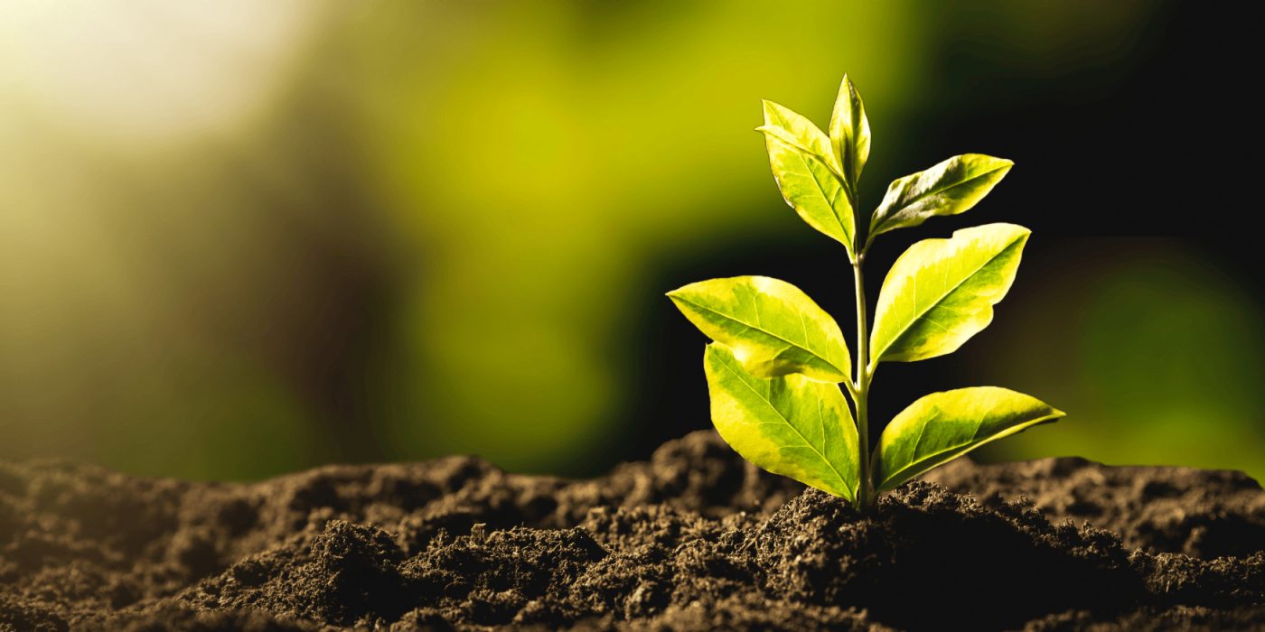 RO_MKT_Hero_Decarbonizare