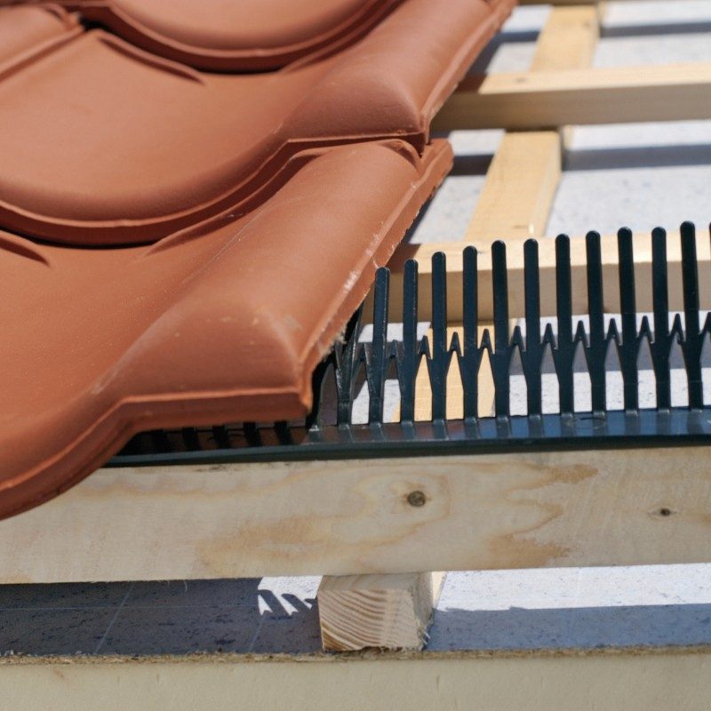 Pieptăn secondary image