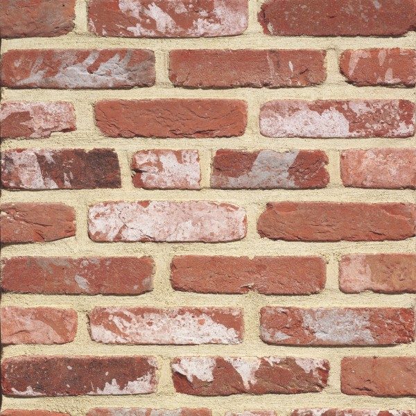 RO_MKT_TER Rustica Main Image