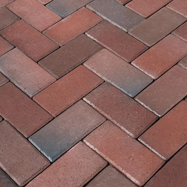 RO_MKT_SEM_Penter Rotblaubunt Main Image