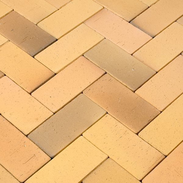 RO_MKT_SEM_Penter Rugen Main Image