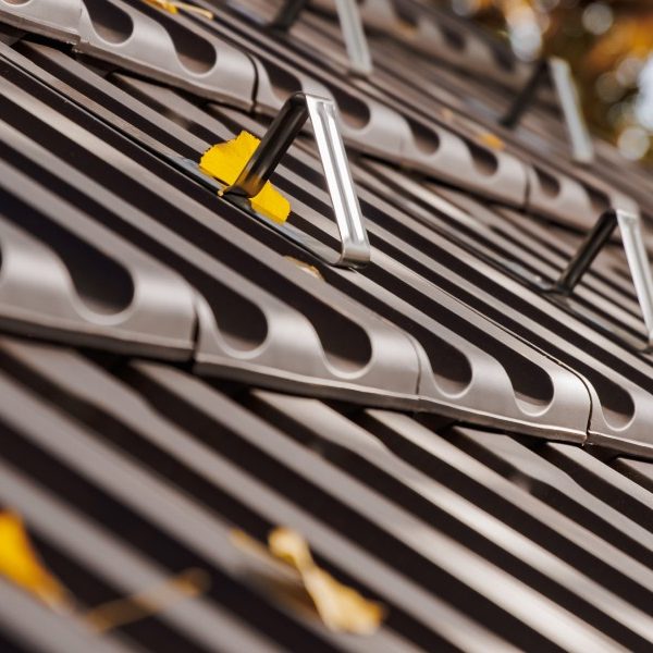 RO_MKT_TON_REF_Traditon 9 Maro Inchis