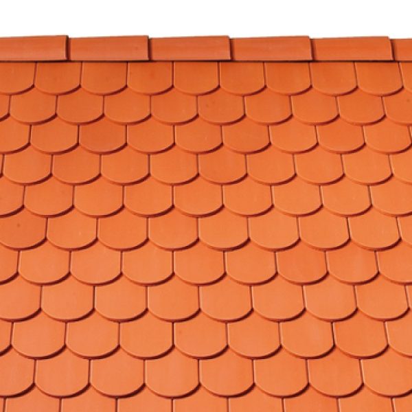 RO_MKT_TON_REF_Solzi Cedonia Natur 3