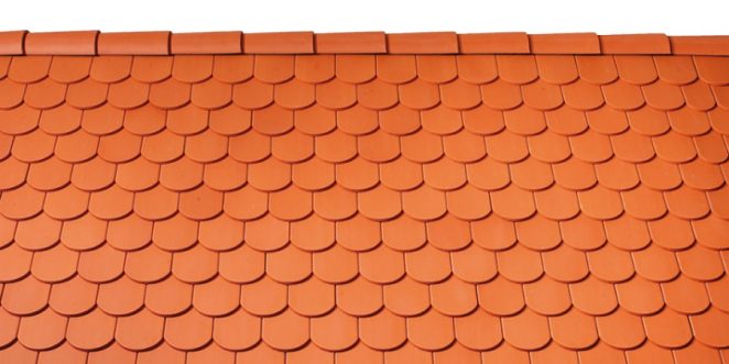 RO_MKT_TON_REF_Solzi Cedonia Natur 3